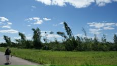 Фотография Филипповских Зарины