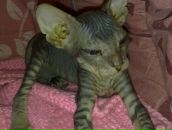 Фотография Бурцева Елена