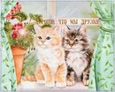 Вікуська Мелайка фотография #12 (источник - https://vk.com/id167347410)