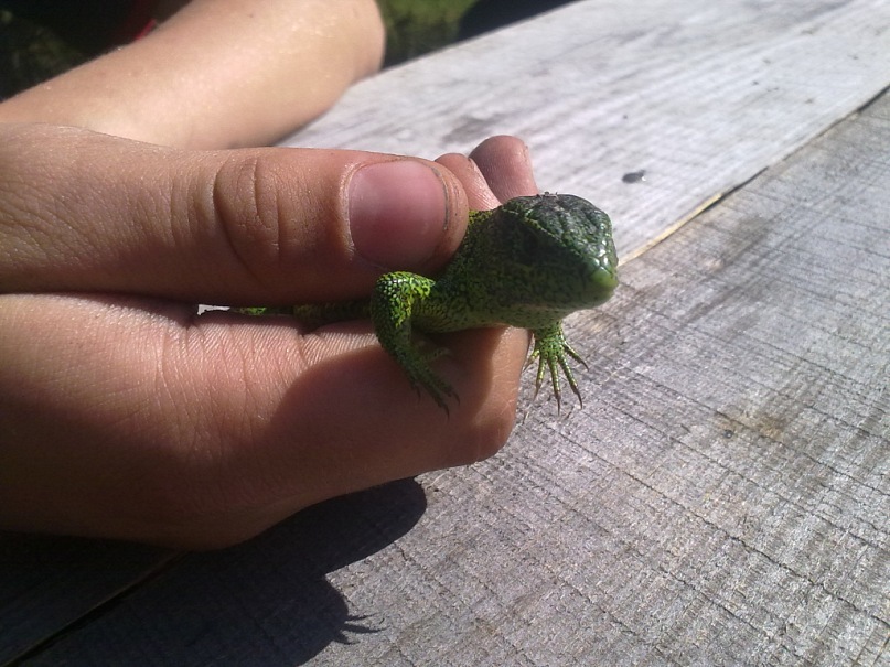 Богдан Воропаев фотография #38