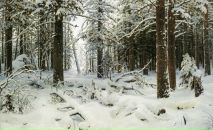 Сергій Денисюк фотография #3 (источник - https://vk.com/id117423633)