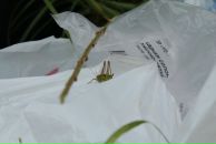 Андрій Світлицький фотография #19 (источник - https://vk.com/id2321783)