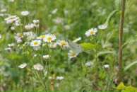 Андрій Світлицький фотография #29 (источник - https://vk.com/id2321783)