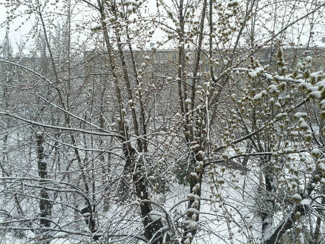 Семен Beyondthelimit фотография #34