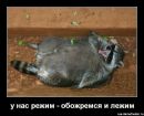 Фотография Ломакина Александра