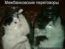 Віталій Кириленко фотография #14 (источник - https://vk.com/id38047431)