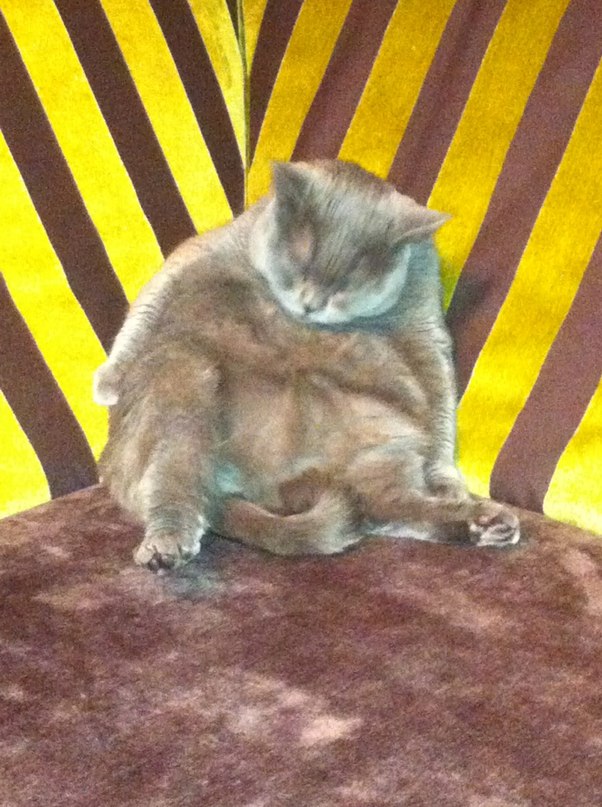 Тёма Глик фотография #33