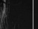 Тарас Чайківський фотография #50 (источник - https://vk.com/id127960160)