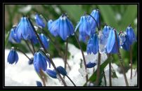 Фотография Неземной Любови