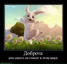 Alex Krym фотография #36 (источник - https://vk.com/id39120498)