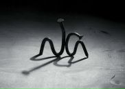 Фотография Лободы Ульяны