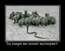 Ирина Олексеенко фотография #35 (источник - https://vk.com/id21115650)