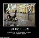 Ирина Олексеенко фотография #47 (источник - https://vk.com/id21115650)