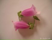 Фотография Воропанов Максим