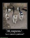 Сергій Притула фотография #11 (источник - https://vk.com/id105081679)