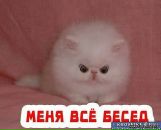 Світлана Радовенюк фотография #11 (источник - https://vk.com/id15222327)