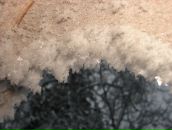 Фотография Горячей Екатерины