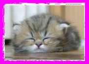 Фотография Воронцовой Ирины