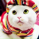 Фотография Юсуповой Айгуль