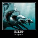 Дмитрий Подильник фотография #14 (источник - https://vk.com/id79768161)
