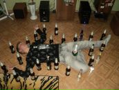 Фотография Лушникова Анастасия