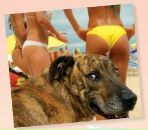 Игорь Черников фотография #12 (источник - https://vk.com/id8233364)