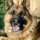 Роман Гілюта фотография #47 (источник - https://vk.com/id133024126)