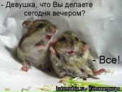 Фотография Рыбась Ксении