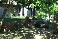 Таня Ліщук фотография #28 (источник - https://vk.com/id22416115)