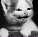 Соломія Ощіпко фотография #41 (источник - https://vk.com/id61428826)