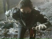 Фотография Никитин Дмитрий