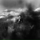 Фотография Gill Alisa