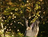 Фотография Богдановой Светланы