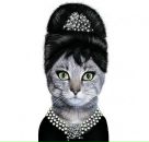 Мар'яна Міщенко фотография #33 (источник - https://vk.com/id21664935)