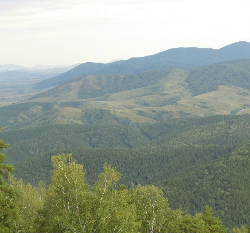 Евгений Ермаков фотография #7