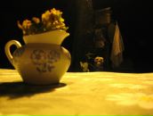 Фотография Лисиной Ирины