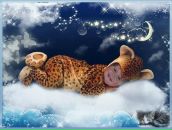 Фотография Высоцкой Надежды