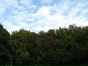 Ростислав Ткаченко фотография #20 (источник - https://vk.com/id6039788)