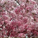 Фотография Казаковой Ирины