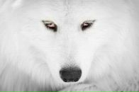 Фотография Ilyashina Anna