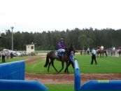 Сірьожа Лісний фотография #19 (источник - https://vk.com/id55066446)