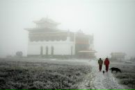 Фотография Тихоновой Альман