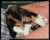 Фотография Ярославовой Ярославы