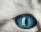 Вика Третьякова фотография #15 (источник - https://vk.com/id808294)