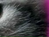 Вика Третьякова фотография #17 (источник - https://vk.com/id808294)