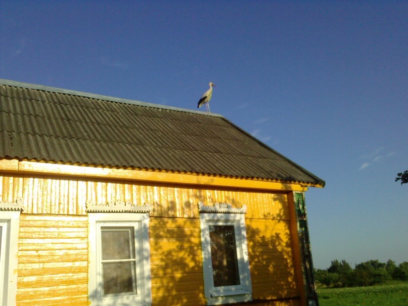 Юрий Луппо фотография #12