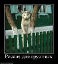 Олександр Матвійчук фотография #4 (источник - https://vk.com/id71645851)
