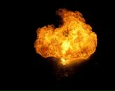 Фотография Белова Александра