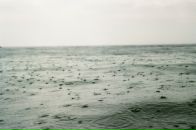 Антон Бойчук фотография #4 (источник - https://vk.com/id839237)