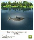 Чарлі Метелик фотография #23 (источник - https://vk.com/id61674657)